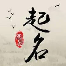 雅字如何起名（雅字取名女孩）